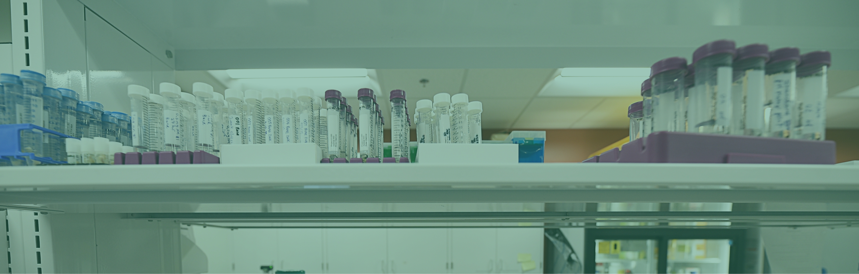 test tubes on a shelf in a lab environment